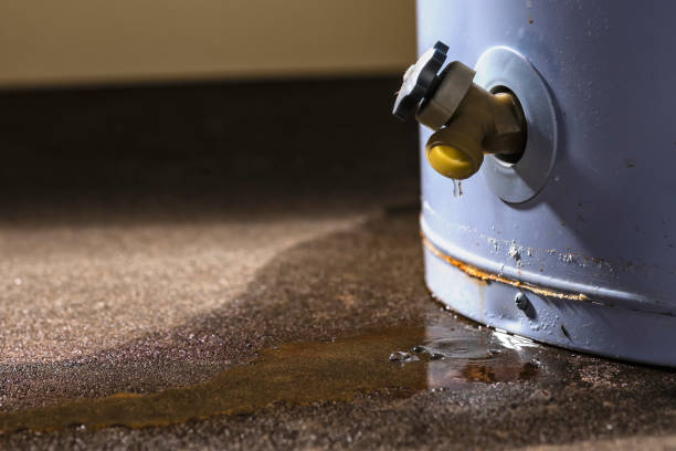  Orient, NY Water damage restoration Pros