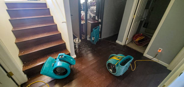 Best Water damage restoration near me  in Orient, NY