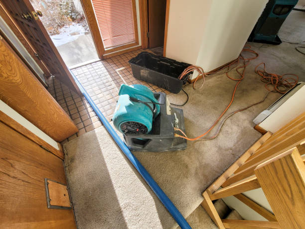 Best Flood damage cleanup  in Orient, NY
