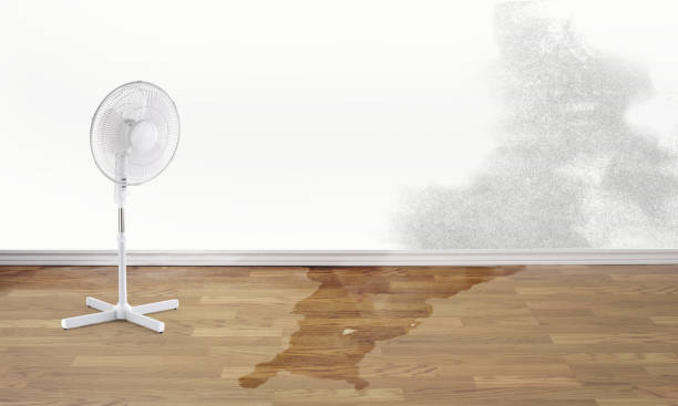 Best Ceiling water damage repair  in Orient, NY