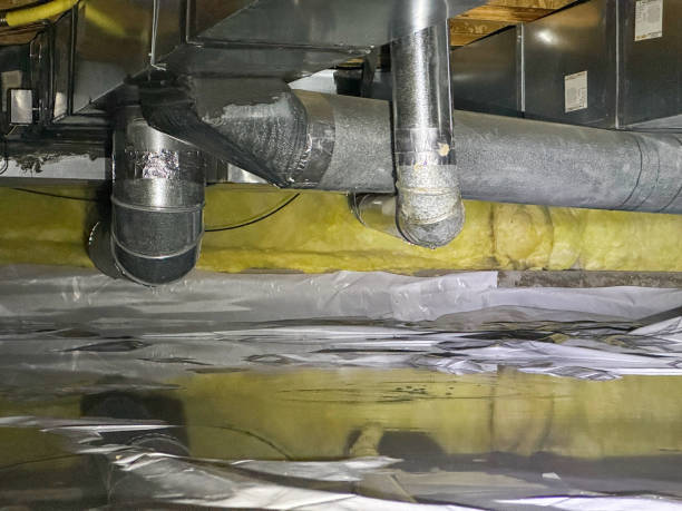 Best Water damage restoration near me  in Orient, NY