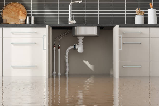 Best Water damage restoration insurance claims  in Orient, NY